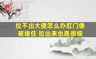 拉不出大便怎么办肛门像被堵住 拉出来也是很细